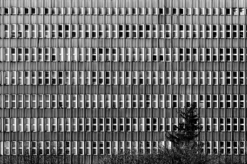 Wrocław - Audytorium Chemii - Powojenny Modernizm. Fotografia architektury, plakat do mieszkania.