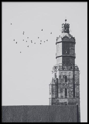 Wrocław - Wieża Kościoła Garnizonowego. Fotografia architektury, plakat do mieszkania.