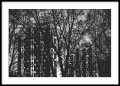 Wrocław - Sedesowce. Fotografia architektury, plakat do mieszkania.