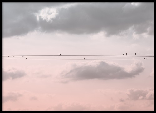 Życie Proste Jak Drut - Plakat