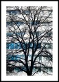 TO i OVO - Fotografia architektury Wrocławia.