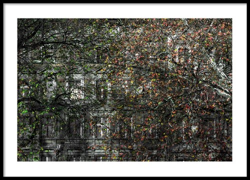 Wrocław - Kamienica na ul. Pułaskiego. Fotografia architektury, plakat do mieszkania.