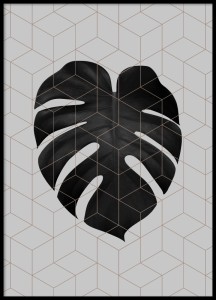 Plakat Monstera V2