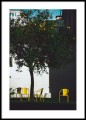 Mateusz Gzik - Lemon Tree / Lisboa. Fotografia, plakat do mieszkania, dekoracja na ścianę.
