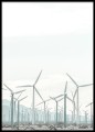 Palm Springs Windmills - fotografia, plakat do mieszkania.