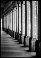 Wrocław - Arkady, autor: Mateusz Gzik. Czarno-biała fotografia architektury. Plakat do mieszkania.
