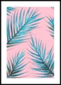 Kamil Siudziński - liście palmy. Reprodukcja obrazu, plakat botaniczny.