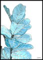 Kamil Siudziński - Figa. Reprodukcja obrazu, plakat botaniczny do mieszkania.