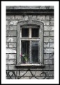 Wrocław - Okno. Autor: Mateusz Gzik. Plakat do mieszkania.