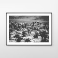 Joshua Tree National Park - fotografia, plakat do mieszkania.