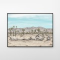Joshua Tree Park - pustynia, fotografia, plakat. 