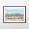 Joshua Tree Park - pustynia, fotografia, plakat. 