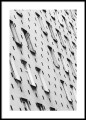 Warszawa - city pattern. Fotografia architektury.