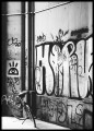 Street photo - graffiti i rower. Fotografia, plakat do mieszkania. 