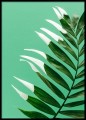 Fotografia. Plakat zielony - palma