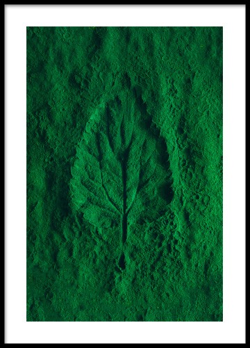 Fotografia - Listek, liść, chlorofil. Plakat na ścianę.  