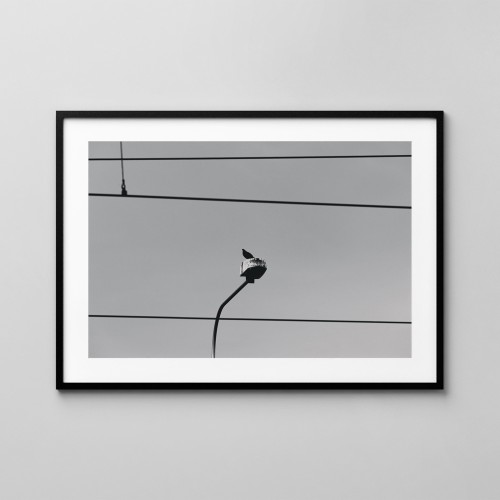 Simple Life No.2805 - fotografia autorska. Plakat na ścianę, fotoposter. 