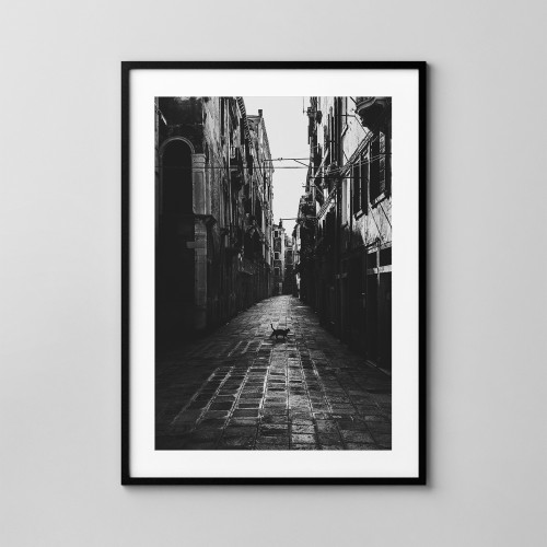 Wenecja, uliczka z kotem Fotografia na ścianę. 