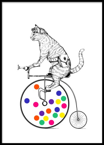 Kot cyrkowiec na rowerze. Plakat na ścianę. 
