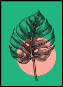 Plakat monstera V4