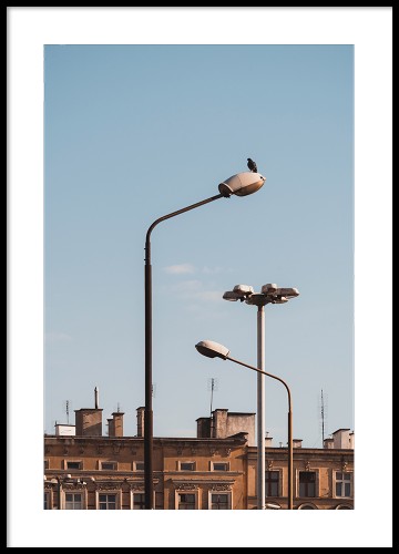 Wrocław - Nadodrze, lampy. Fotografia autorska. Plakat na ścianę. 