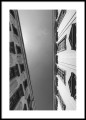 Pl. Uniwersytecki - fotografia z Wrocławia. Plakat na ścianę.