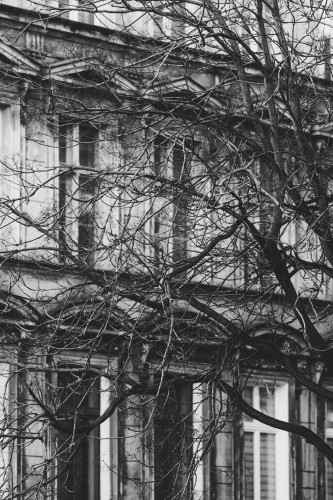 Plakat Wrocław - Kamienica przy ul. Cybulskiego. Autorska fotografia architektury.