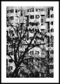 DSC03216-2.jpg